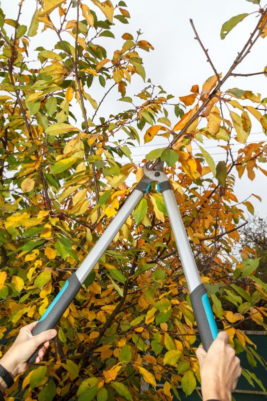 Pruning Equipment