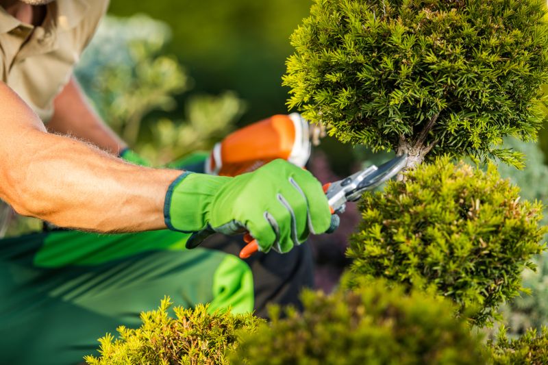 Landscaping Contractors